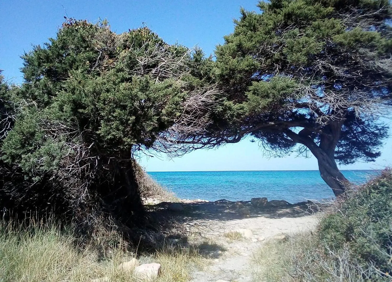 Summer Room- Fronte Spiaggia La Caletta Affittacamere